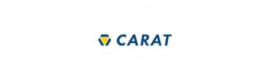 Carat logo