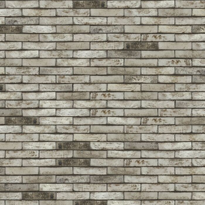 nelissen borlo gesinterd forno