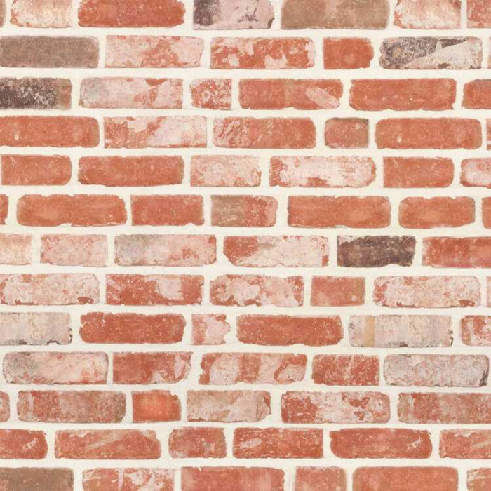 Original Brabantse Moef olivier bricks