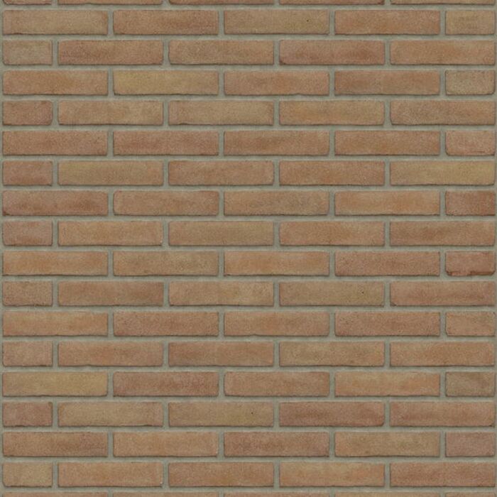 rijswaard brons vb wf