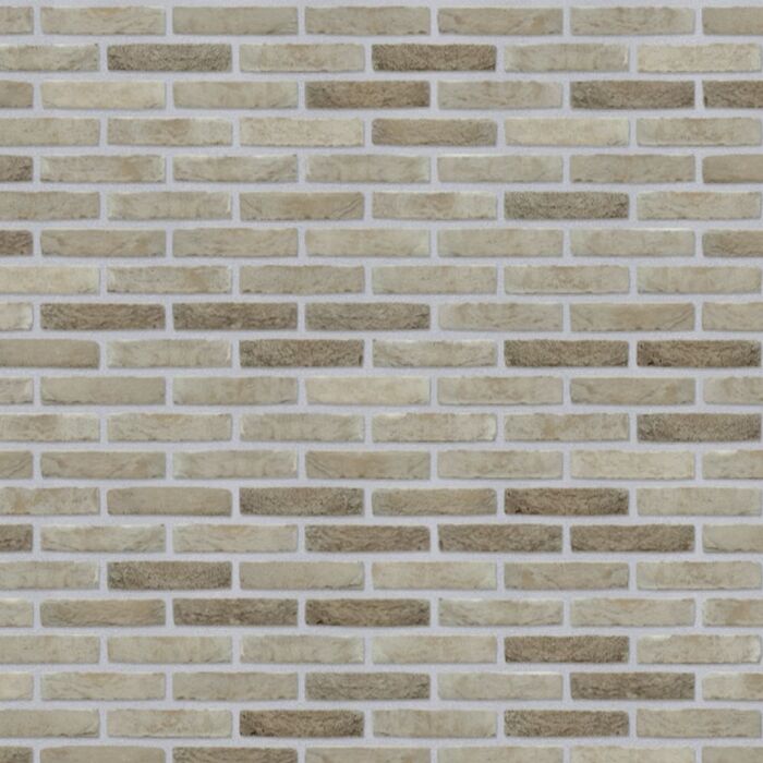 nelissen cap gris nez