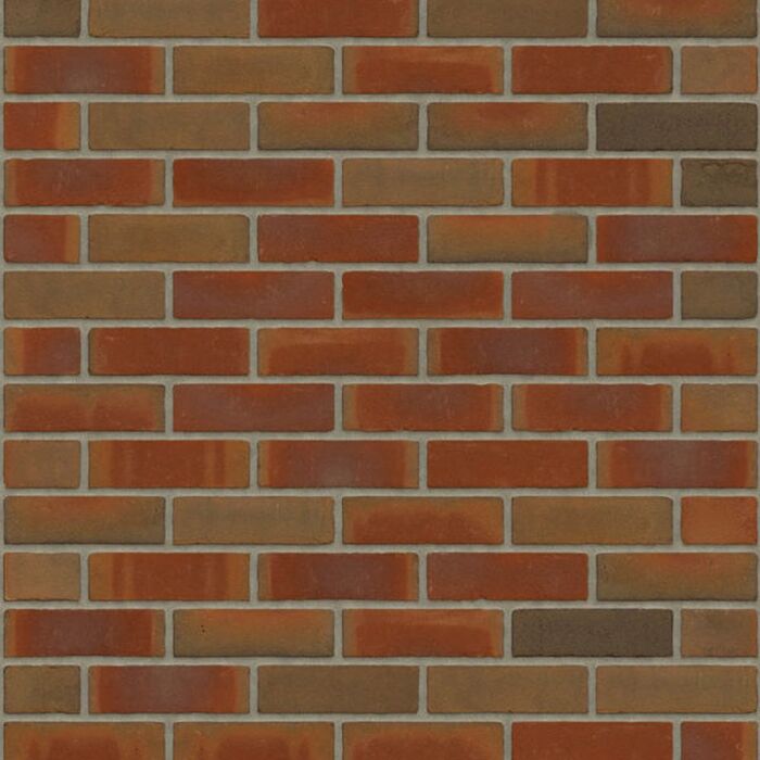 rijswaard engels bont vb ef redux dr12b