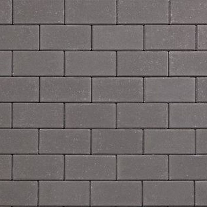 Redsun EVERTON Antra