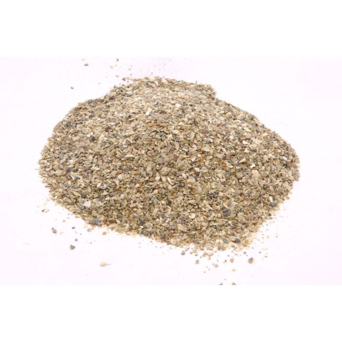 gebroken schelp kopen