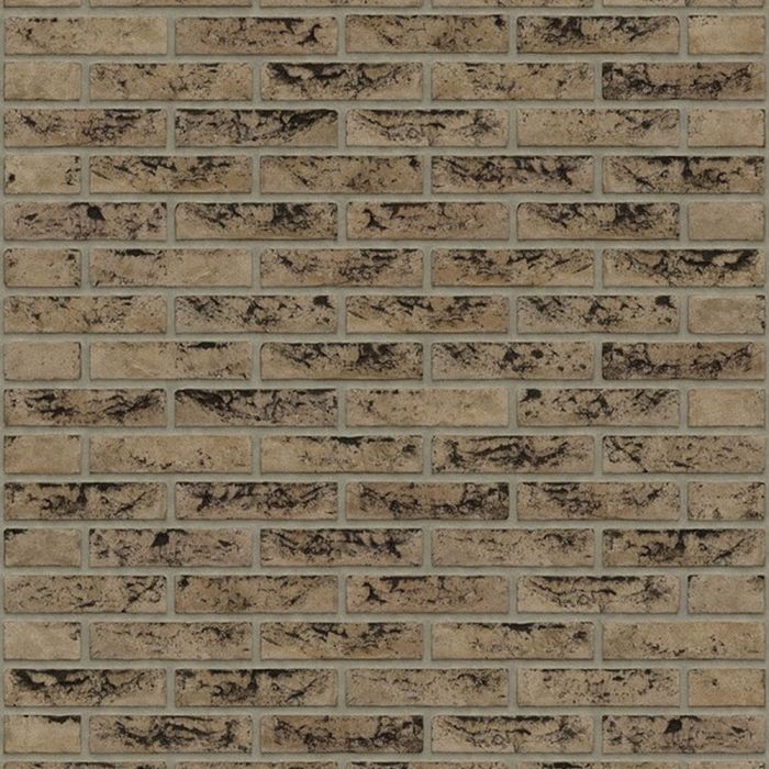 Rijswaard grijs grafiet