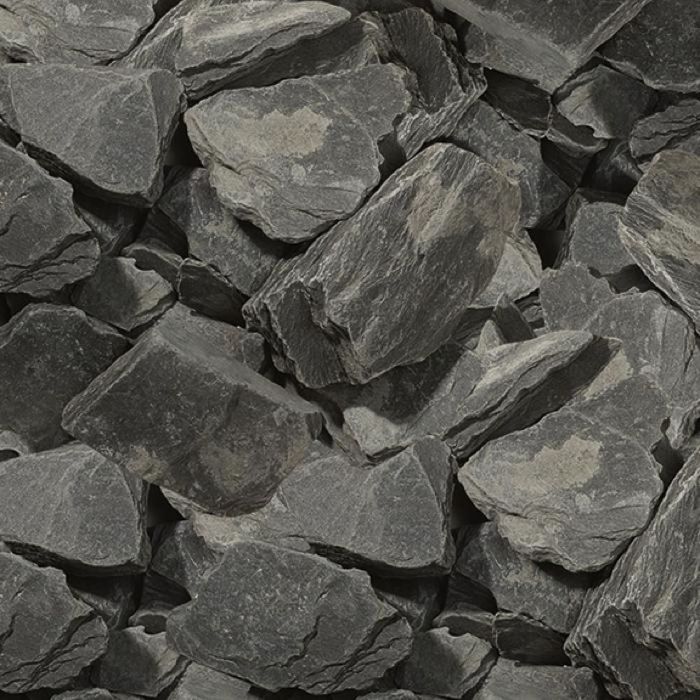 zwarte leisteenschilfers