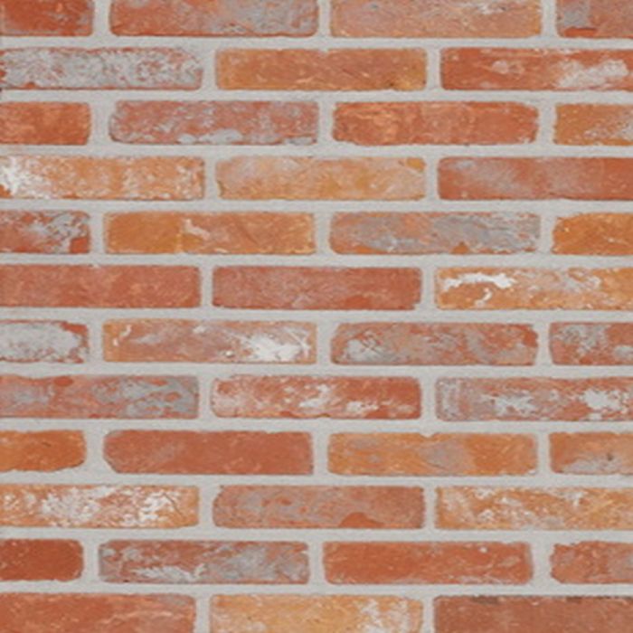 Terca Maalbergse Rijnvorm