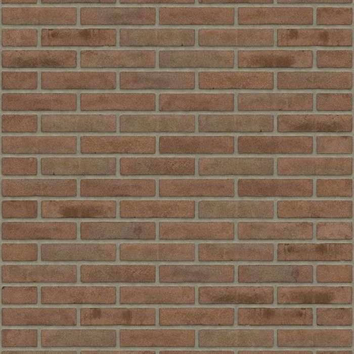 Rijswaard maasbruin vb