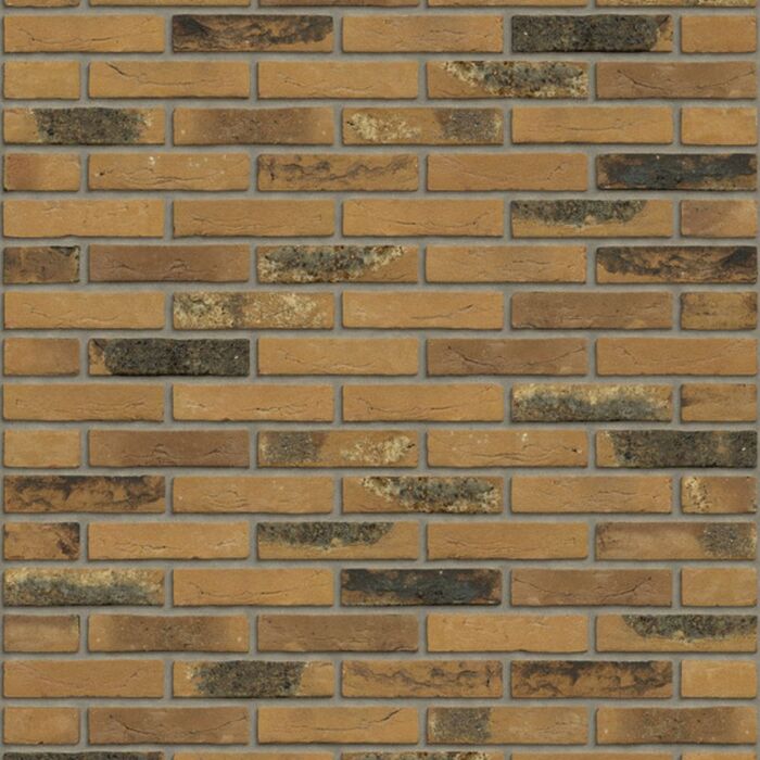 rijswaard macaroon yellow flame wf hv
