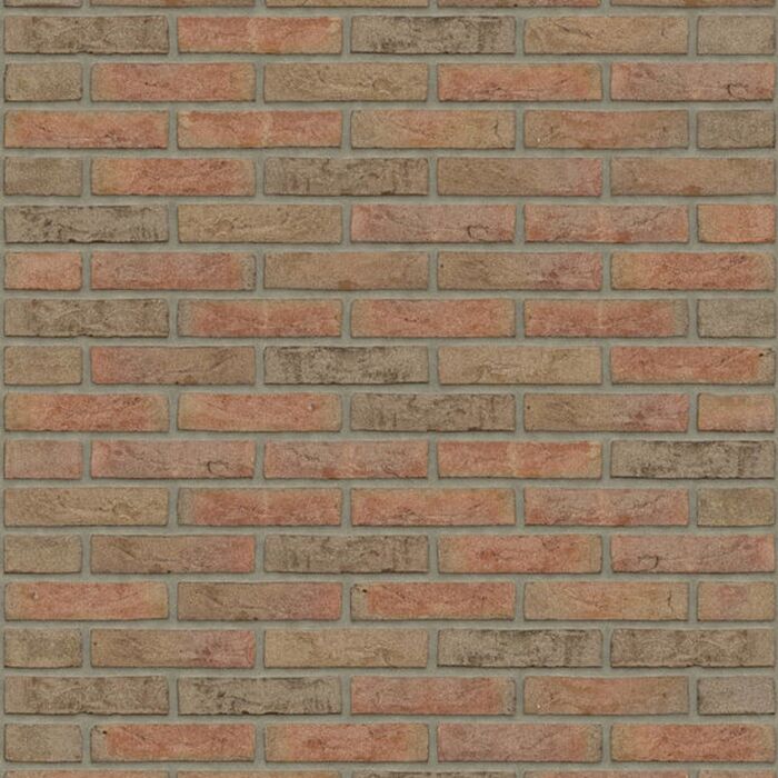 Rijswaard Roodpaars HV Redux