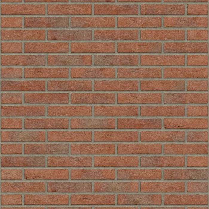 Rijswaard Roodpaars wf