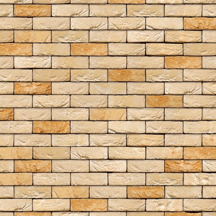 Vandersanden Kuststeen