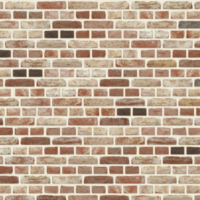 nelissen vega baekel