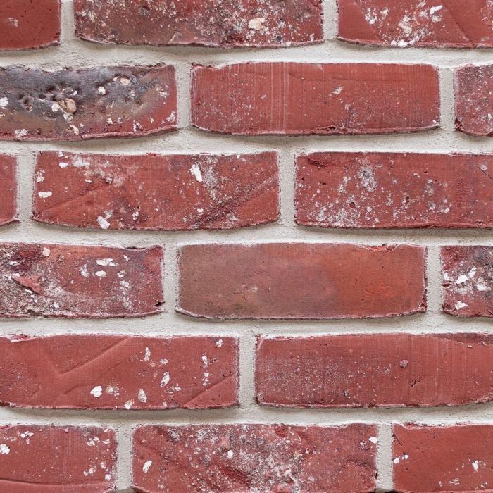 Vandemoortel Veldbrand Rood