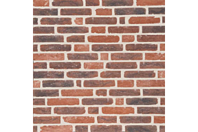 Elegance Aura WF olivier bricks