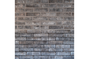 Karma Phoenix olivier bricks