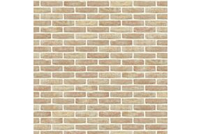 nelissen anderlecht steenstrips