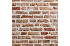 Traditional Antwerps Klompje olivier bricks