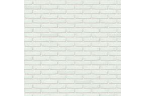 nelissen blanco koloro