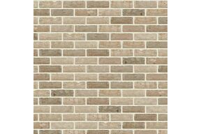 Nelissen Caprice Bourgeois