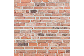 Traditional Brabants Klompje olivier bricks