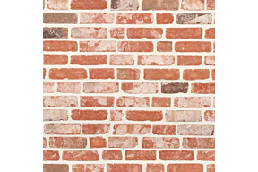 Original Brabantse Moef olivier bricks