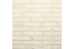 terca domus duifwit steen