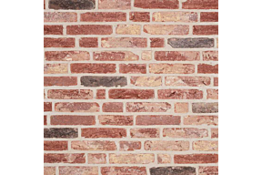 Original Drenthse Klinker olivier bricks