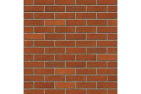 Rijswaard engels bont hv ef