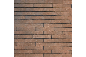 evolution Bronze olivier bricks