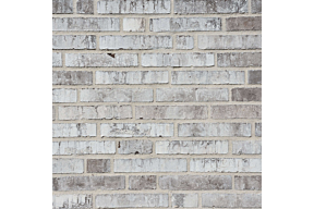 evolution Ornate olivier bricks