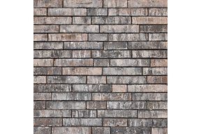 evolution pollok olivier bricks