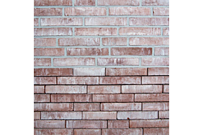 evolution Rubino olivier bricks