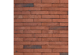 evolution Ruby olivier bricks