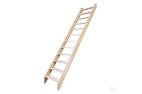 msu molenaarstrap belgie