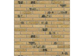 rijswaard Fawn Yellow Flame