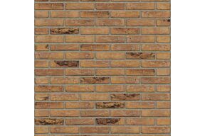 Rijswaard gamers bont hv