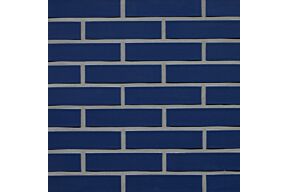 wienerberger glazuursteen blauw