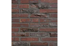 Wienerberger Artiza Hectic Extra