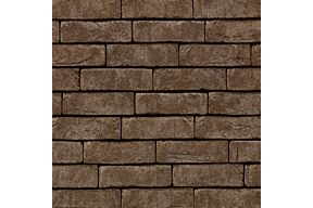 terca iluzo pagus bruin steen