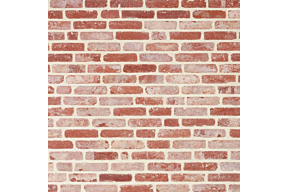 Original Kempisch Klompje olivier bricks