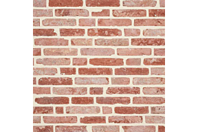 Original Kempische Klinker olivier bricks