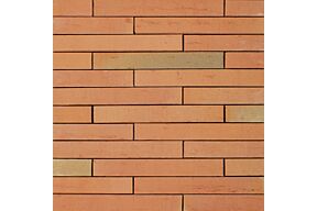 Wienerberger Elignia Betula