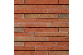 Wienerberger Elignia Robinia