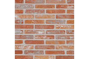 Terca Maalbergse Rijnvorm