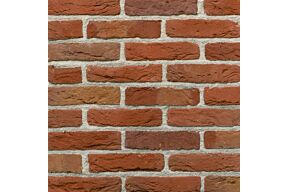 Terca Maaseiker Bont