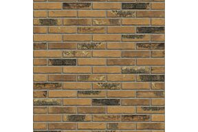 rijswaard macaroon yellow flame wf hv
