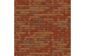 nelissen nassau bont