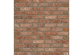 Rijswaard Nebraska VB