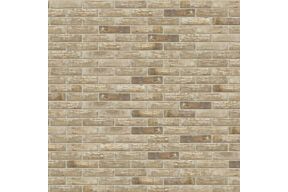 Nelissen Caprice Osorno